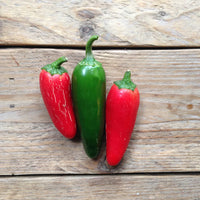 GRAINES DE PIMENT JALAPEÑO M